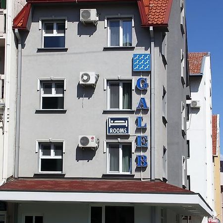 Villa Galeb Šabac Zewnętrze zdjęcie